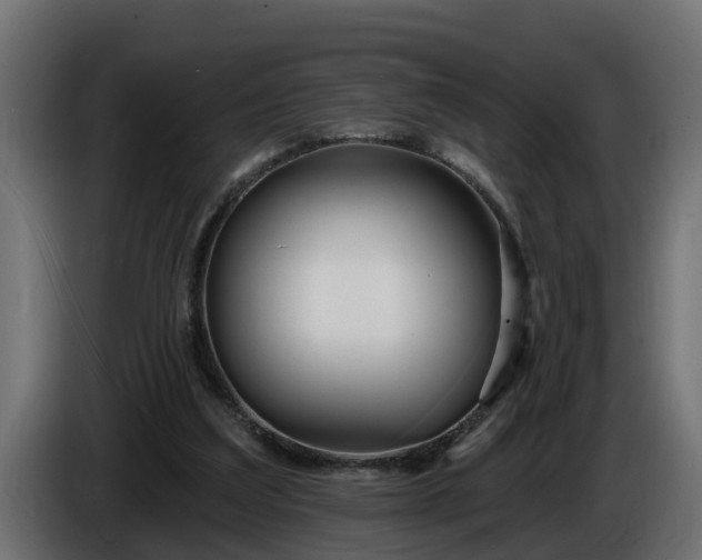 X0000086320203200704131701