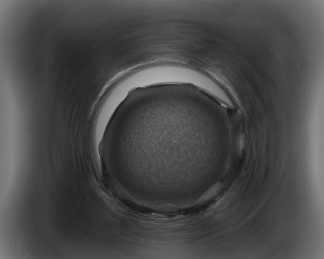 X0000086320204200704131701