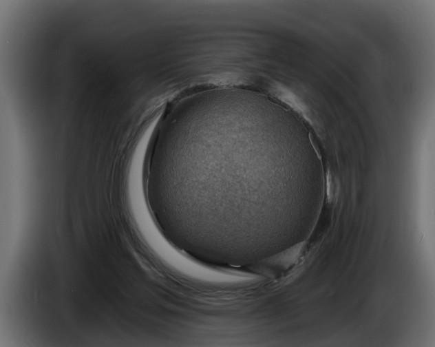 X0000086320205200704131701