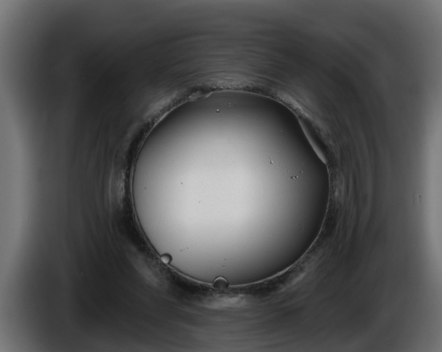 X0000086320206200704131701