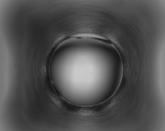 X0000086320207200704131701