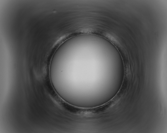 X0000086320208200704131701