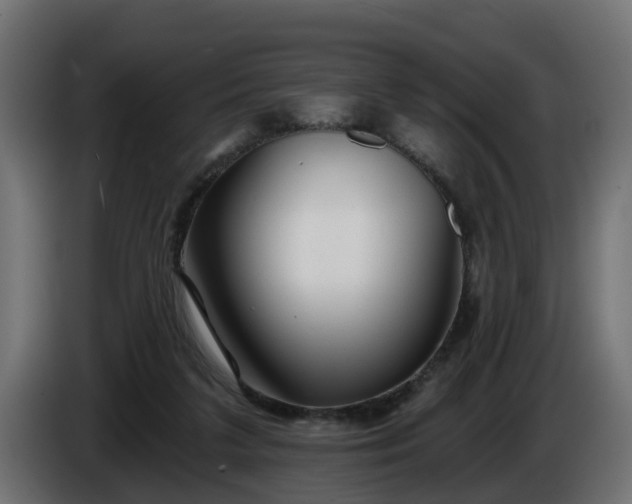 X0000086320211200704131701