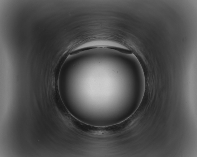 X0000086320212200704131701