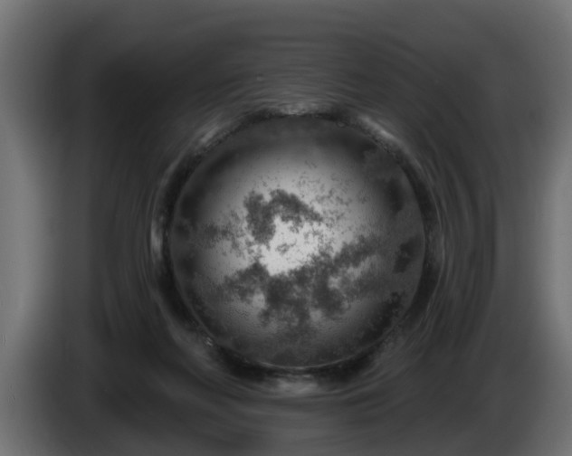 X0000086320214200704131701