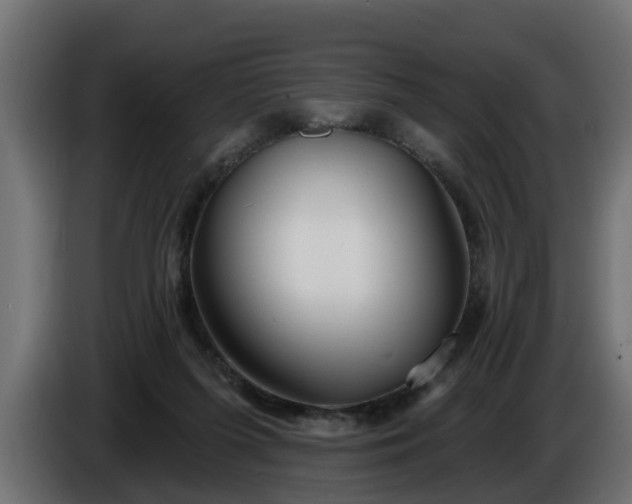 X0000086320215200704131701