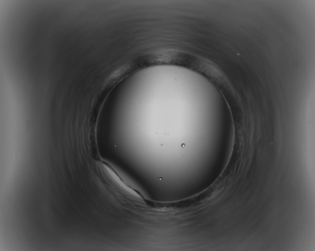 X0000086320216200704131701