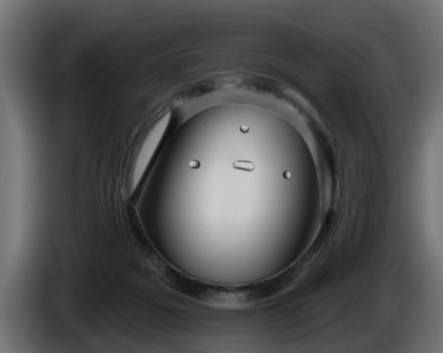 X0000086320217200704131701