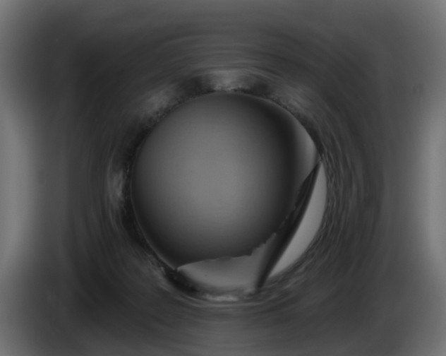 X0000086320219200704131701