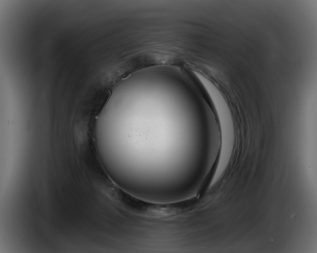 X0000086320221200704131701