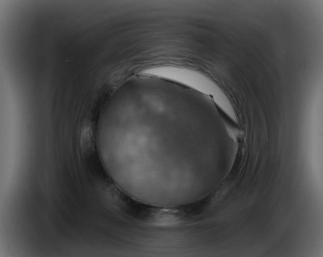 X0000086320222200704131701