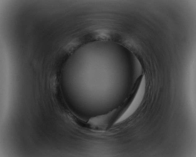 X0000086320223200704131701