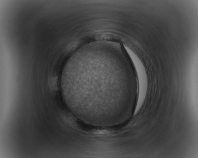 X0000086320224200704131701