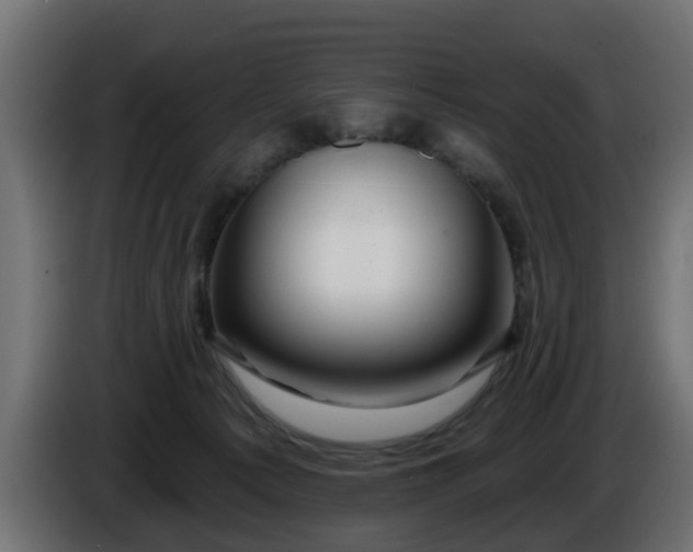 X0000086320225200704131701