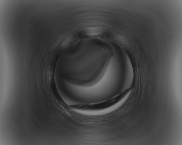 X0000086320227200704131701