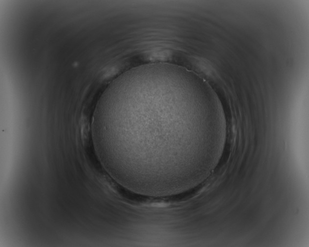 X0000086320228200704131701