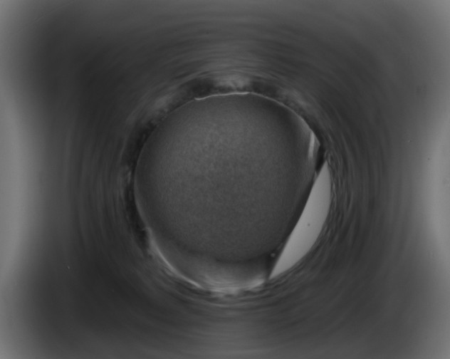 X0000086320229200704131701