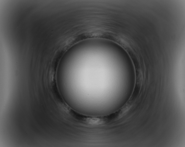 X0000086320230200704131701