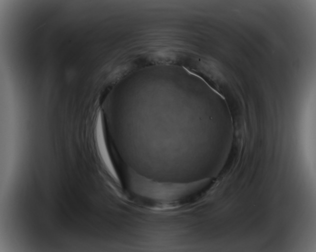 X0000086320231200704131701