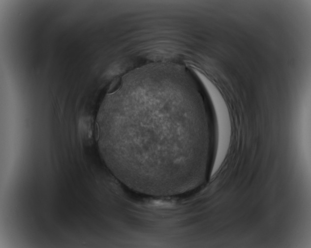 X0000086320232200704131701