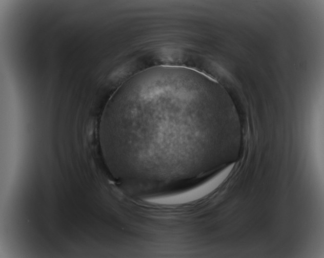 X0000086320233200704131701