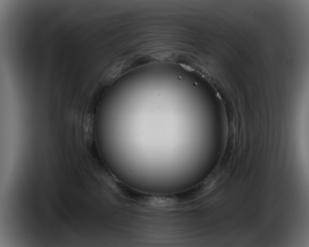 X0000086320234200704131701