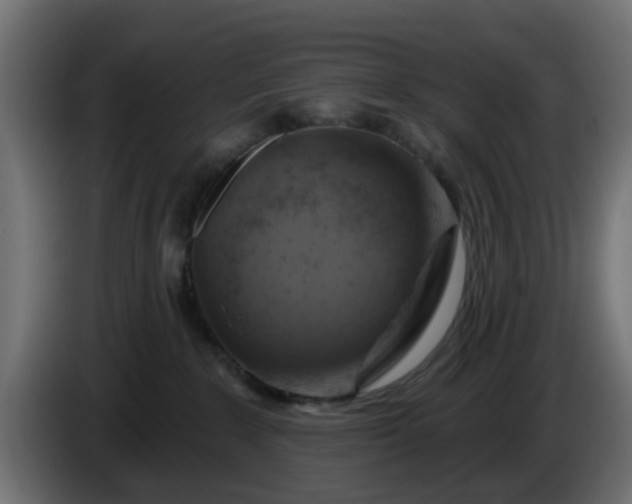 X0000086320235200704131701