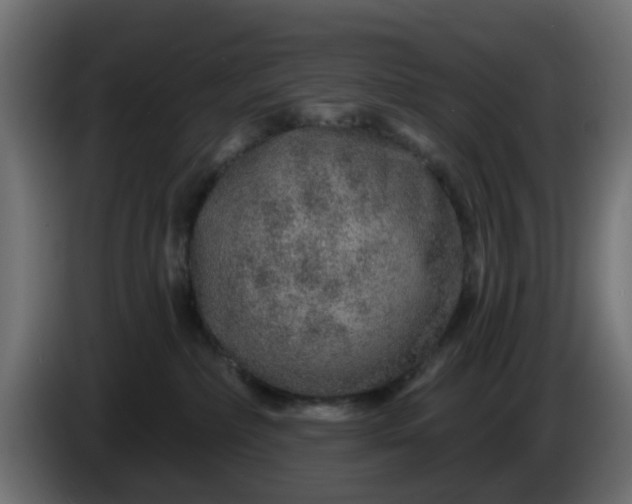 X0000086320236200704131701