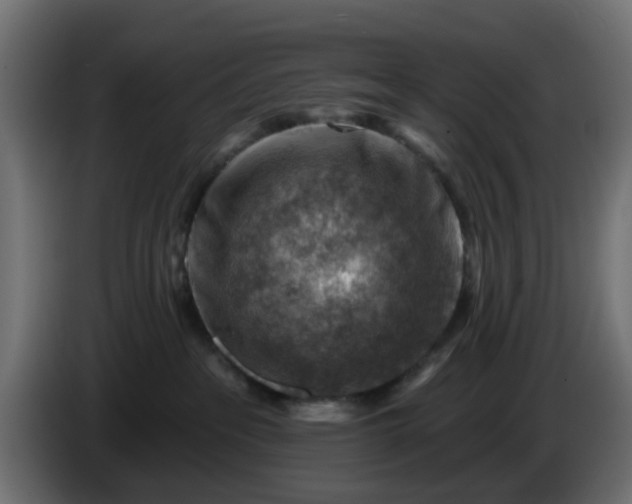 X0000086320237200704131701