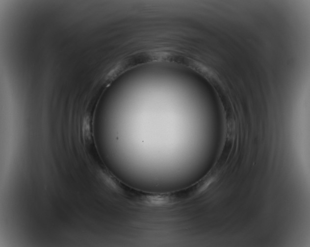 X0000086320238200704131701