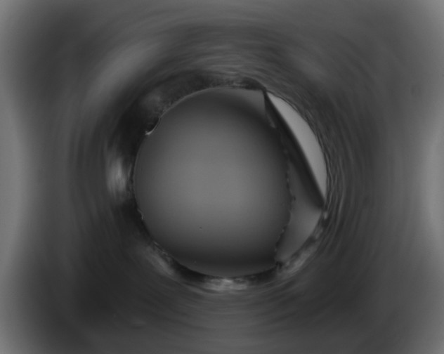 X0000086320239200704131701