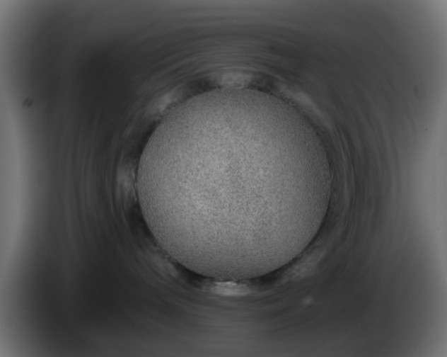 X0000086320240200704131701