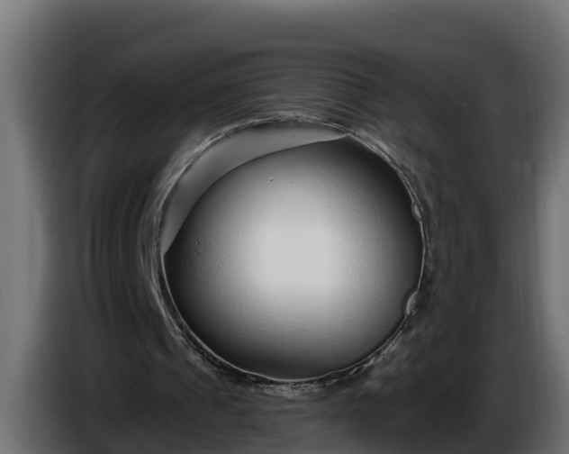 X0000086320241200704131700