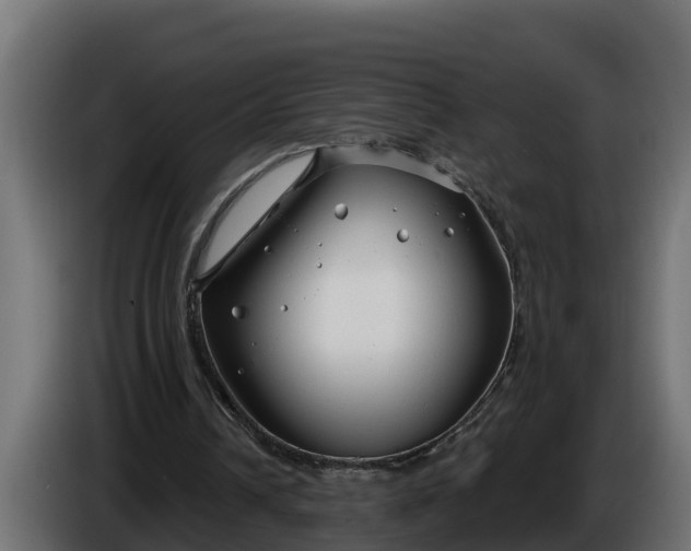 X0000086320242200704131700