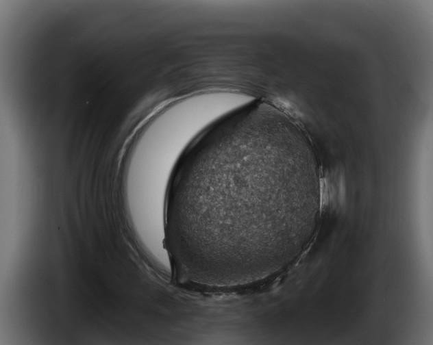 X0000086320243200704131700