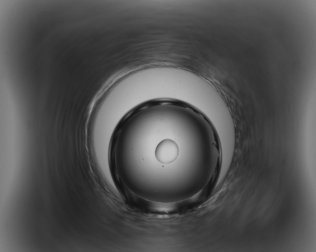 X0000086320244200704131700