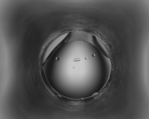 X0000086320245200704131700