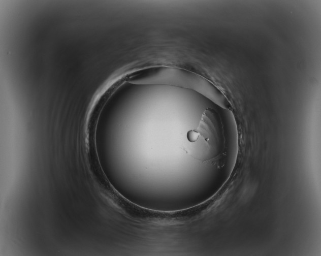 X0000086320246200704131700