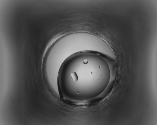 X0000086320248200704131700