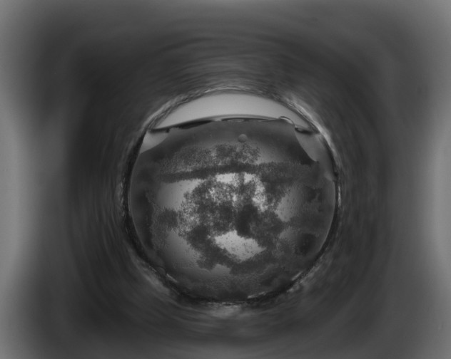 X0000086320249200704131700