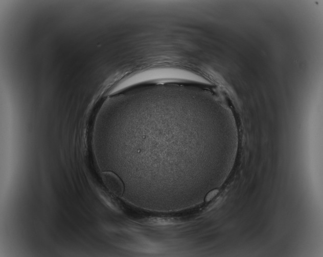 X0000086320250200704131700