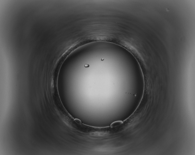 X0000086320251200704131700