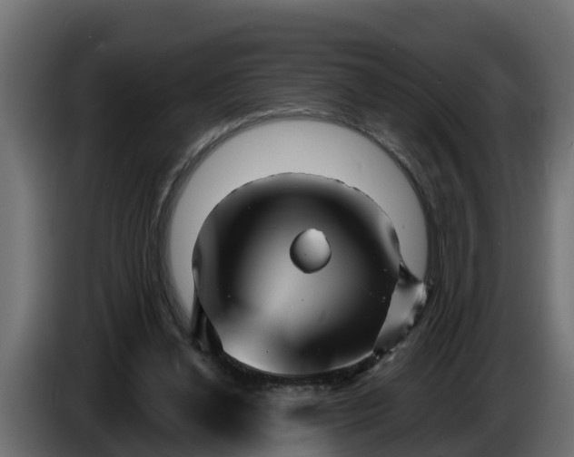 X0000086320252200704131700