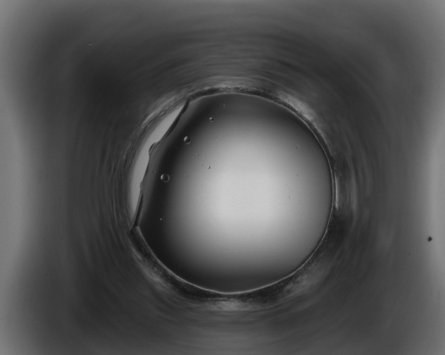 X0000086320253200704131700