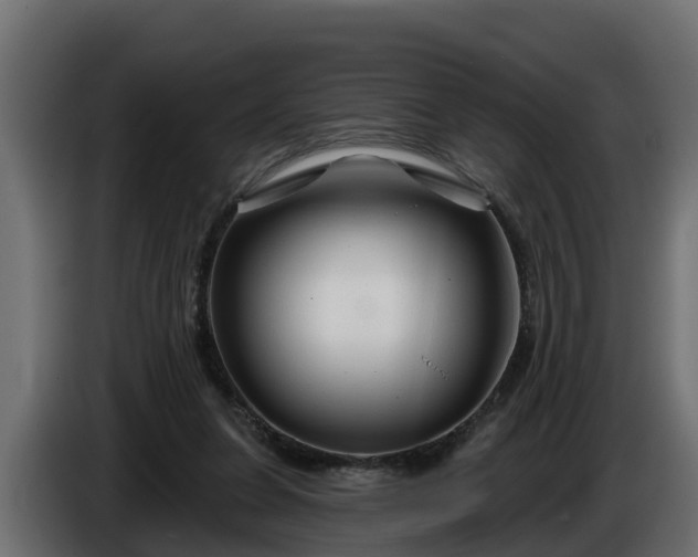 X0000086320255200704131700