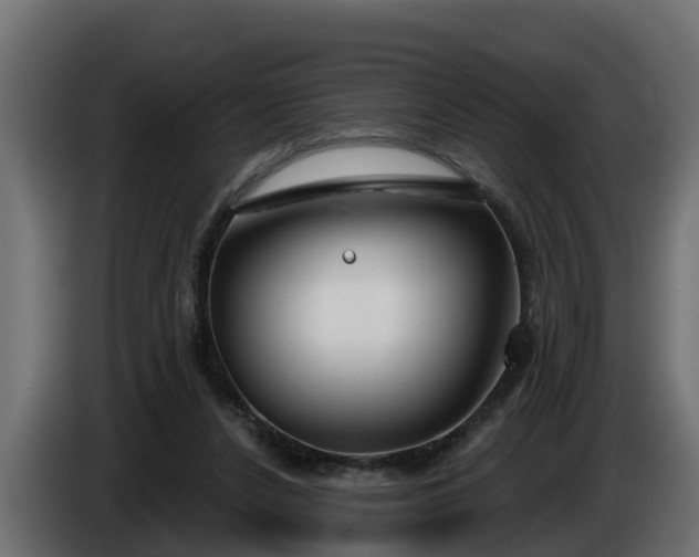 X0000086320256200704131700