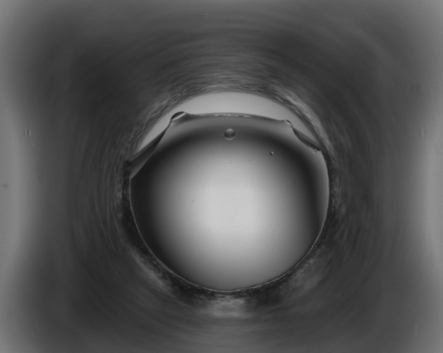 X0000086320257200704131700