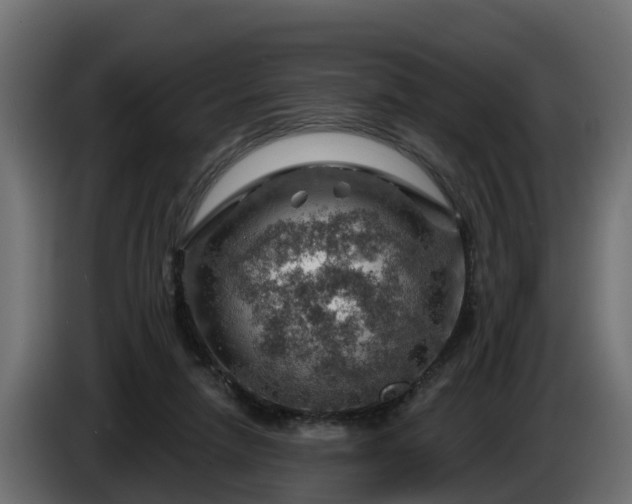 X0000086320258200704131700