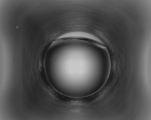 X0000086320259200704131700