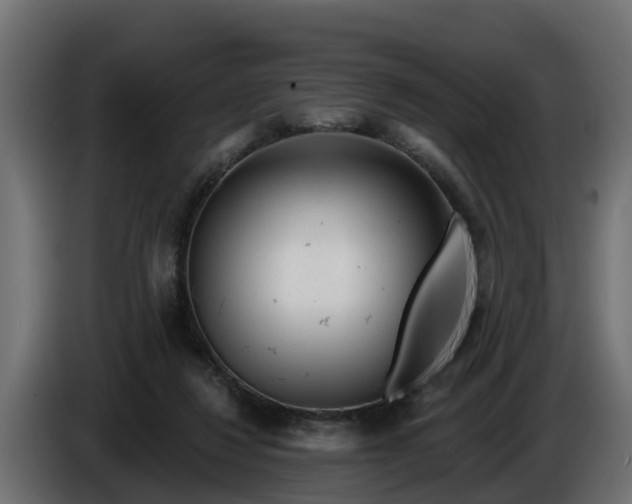 X0000086320260200704131700